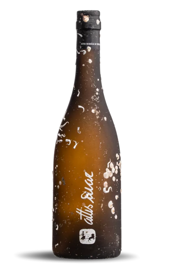 Attis Bodegas y Viñedos Bodegas Attis Mar Albarinho